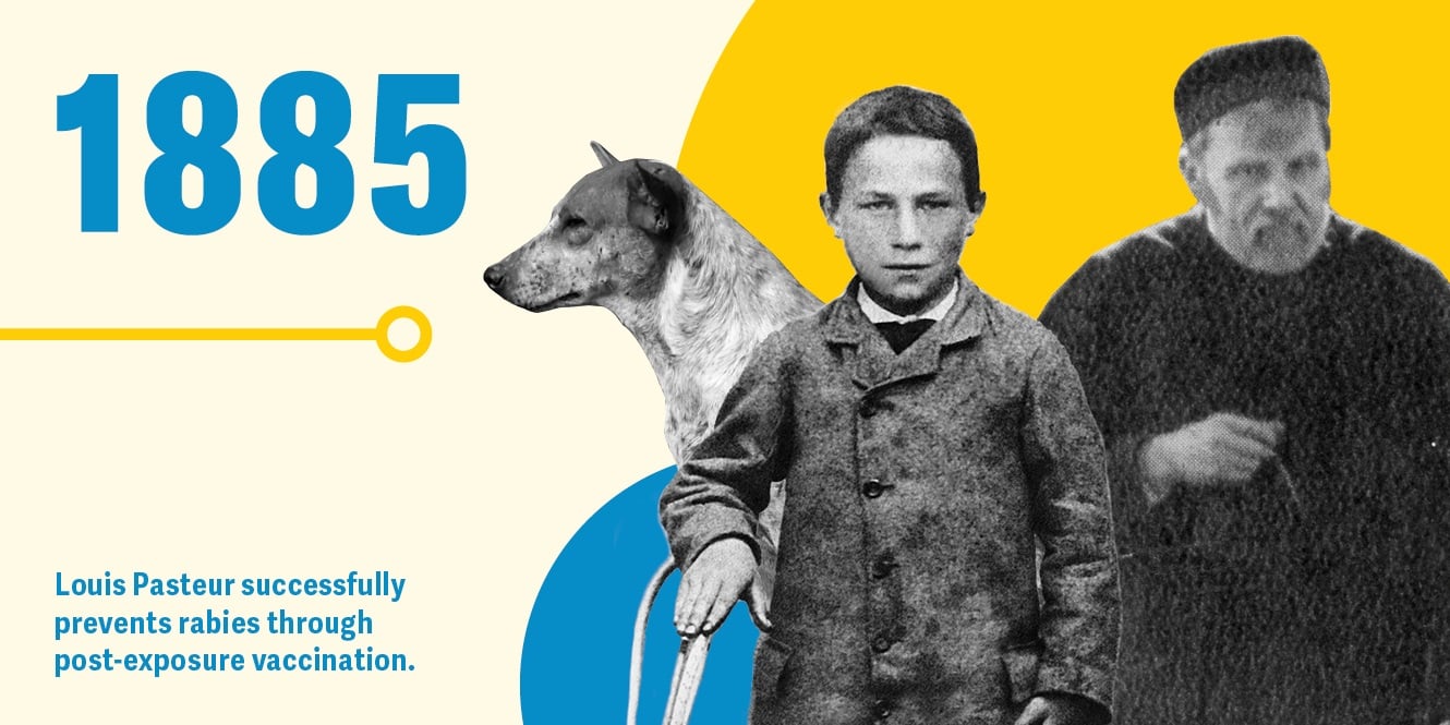 Louis Pasteur successfully prevents rabies