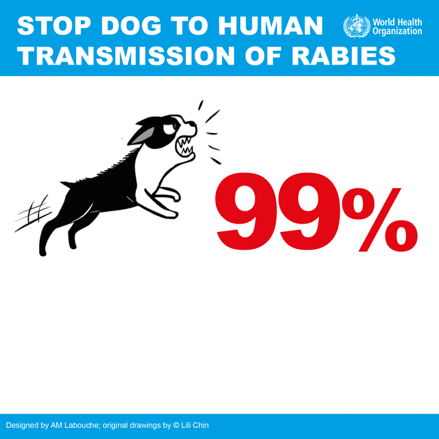 Rabies prevention