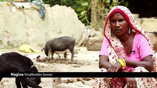 15675490803_1cff02015_o