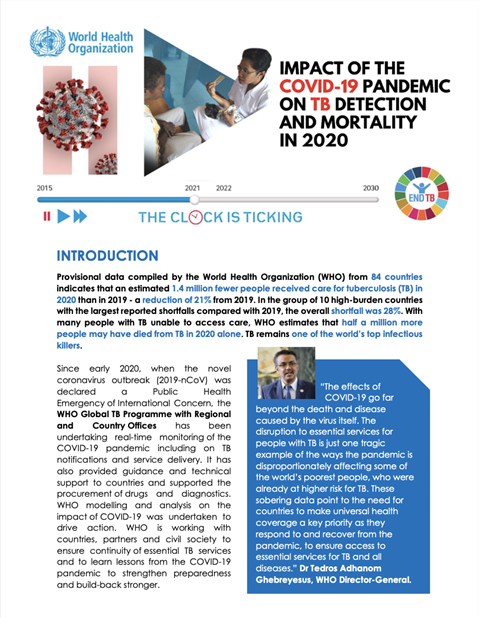 Impact of the COVID-19 pandemic on TB detection and mortality in 2020