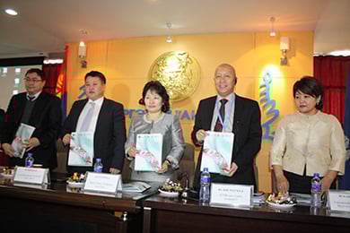 subnational_health_systems3